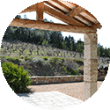 entretien de votre jardin , taille, tonte